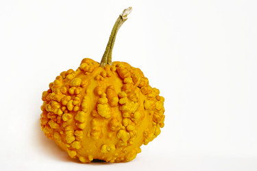 Similar image 1513168