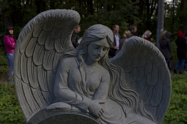 Similar image 1513174