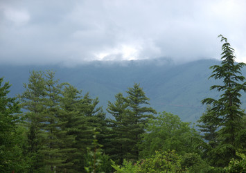 Similar image 1513197