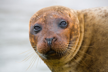 Similar image 1513220