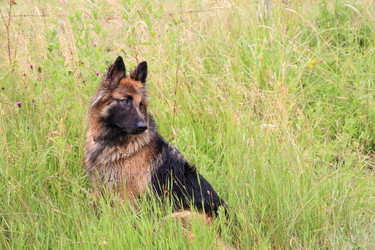 Similar image 1513223