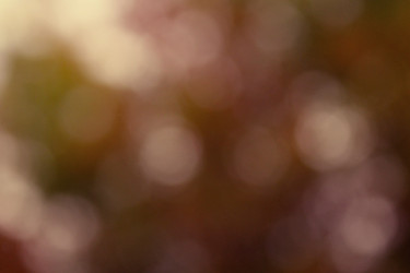 Similar image 1513244