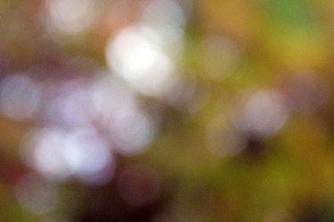 Similar image 1513245