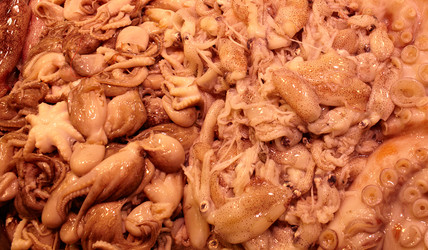 Similar image 1513288