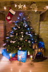 Similar image 1513443