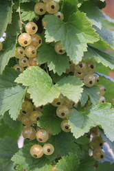 Similar image 1513560