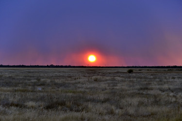 Similar image 1513571