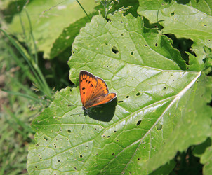 Similar image 1513577