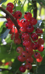 Similar image 1513579