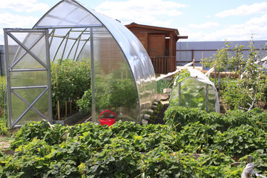 Similar image 1513580