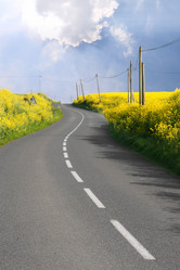 Similar image 1513604