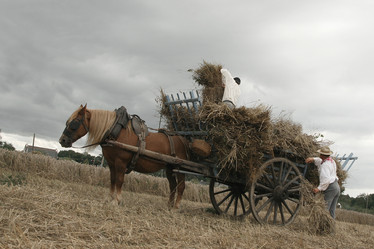 Similar image 1513711