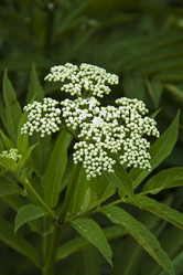 Similar image 1513763