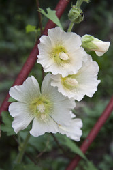 Similar image 1513765