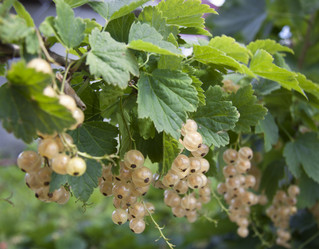 Similar image 1513768