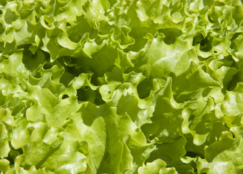 Similar image 1513776