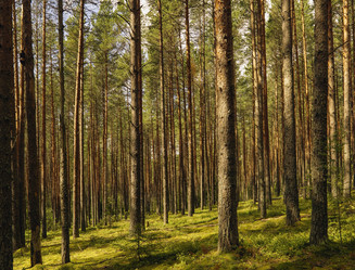 Similar image 1513895