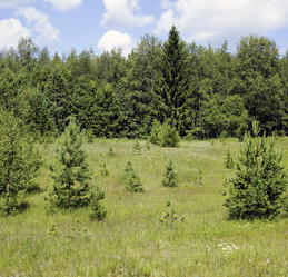 Similar image 1513897