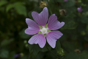 Similar image 1513899