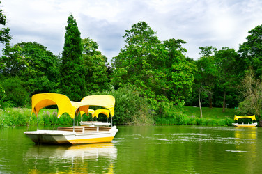 Similar image 1513922