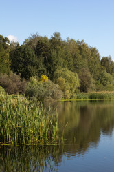 Similar image 1513934