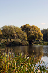 Similar image 1513935