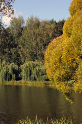 Similar image 1513936