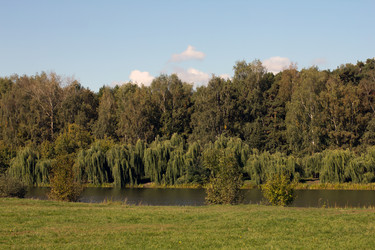 Similar image 1513937