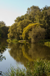 Similar image 1513939