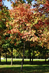 Similar image 1513947