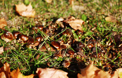 Similar image 1513948