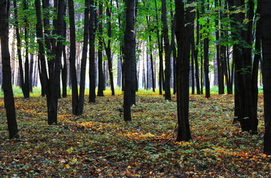 Similar image 1513953