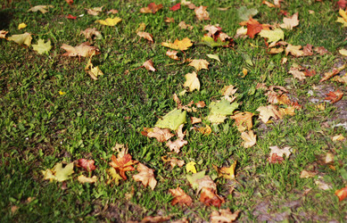 Similar image 1513955