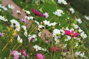 Similar image 1513957