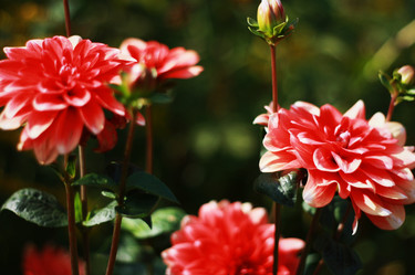 Similar image 1513958