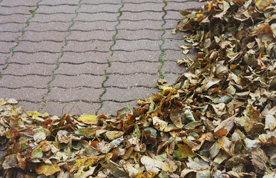 Similar image 1513966