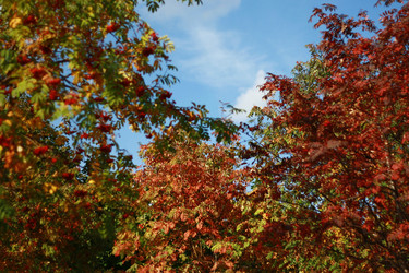 Similar image 1513967