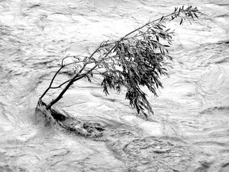 Similar image 1513974