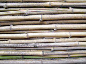 Similar image 1513980