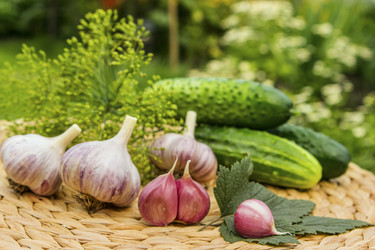 Similar image 1514061