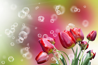 Similar image 1514073