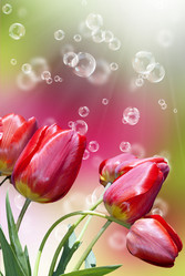 Similar image 1514074