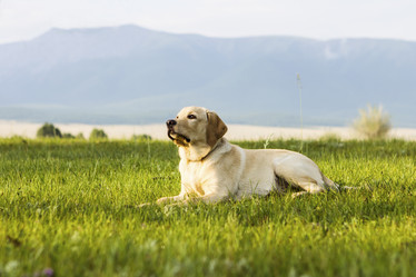 Similar image 1514104