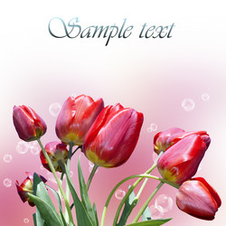 Similar image 1514110