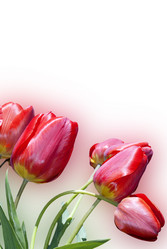 Similar image 1514114