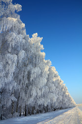 Similar image 1514157