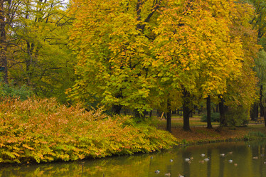 Similar image 1515186