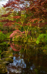 Similar image 1515209