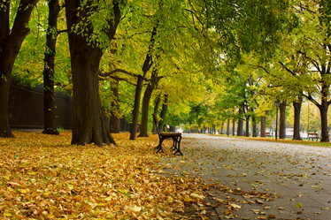 Similar image 1515215