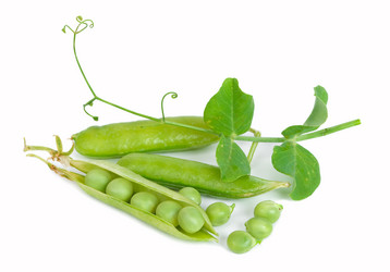 Similar image 1515672